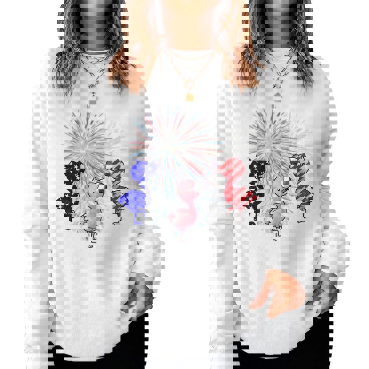 Red White Blue Flamingo Fireworks 4Th Of July Flamingo Women Sweatshirt