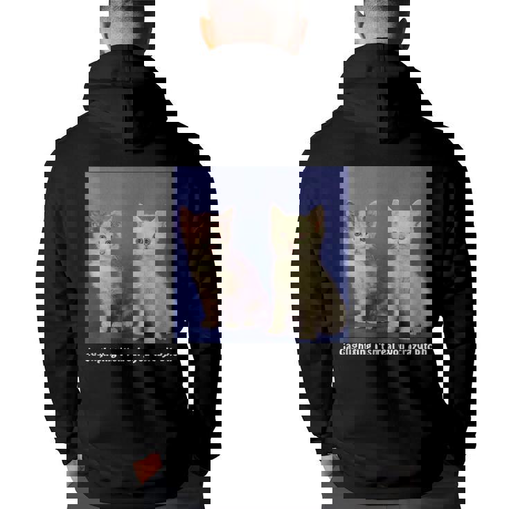 Gaslighting Isnt Real You Crazy BITCH Funny Cat Lover Gifts For Cat Lover Funny Gifts Back Print Hoodie