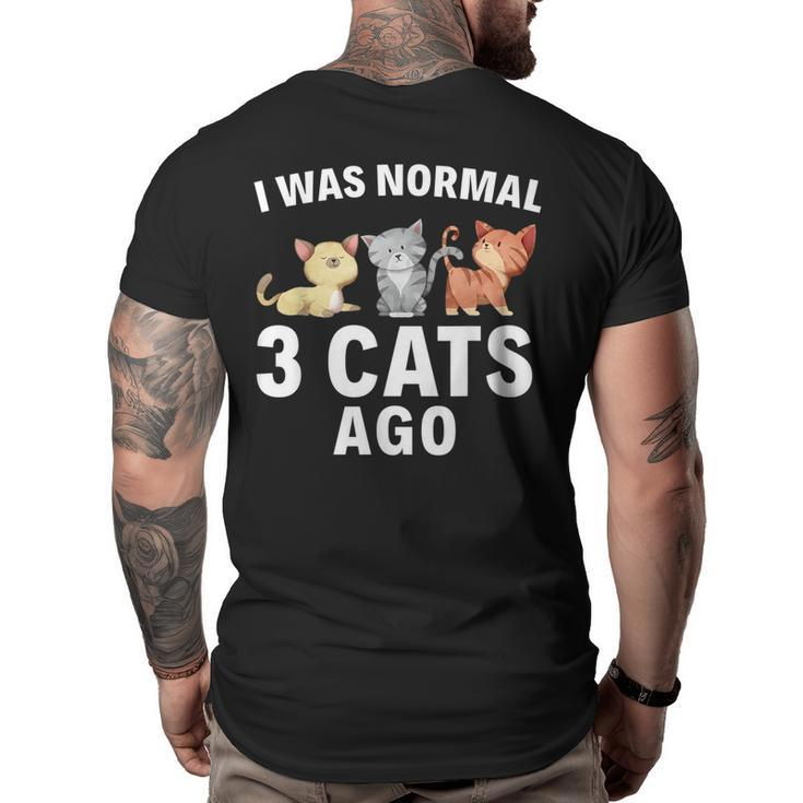 I Was Normal Three Cats Ago Crazy Cat Lady Gift  Big and Tall Men Back Print T-shirt