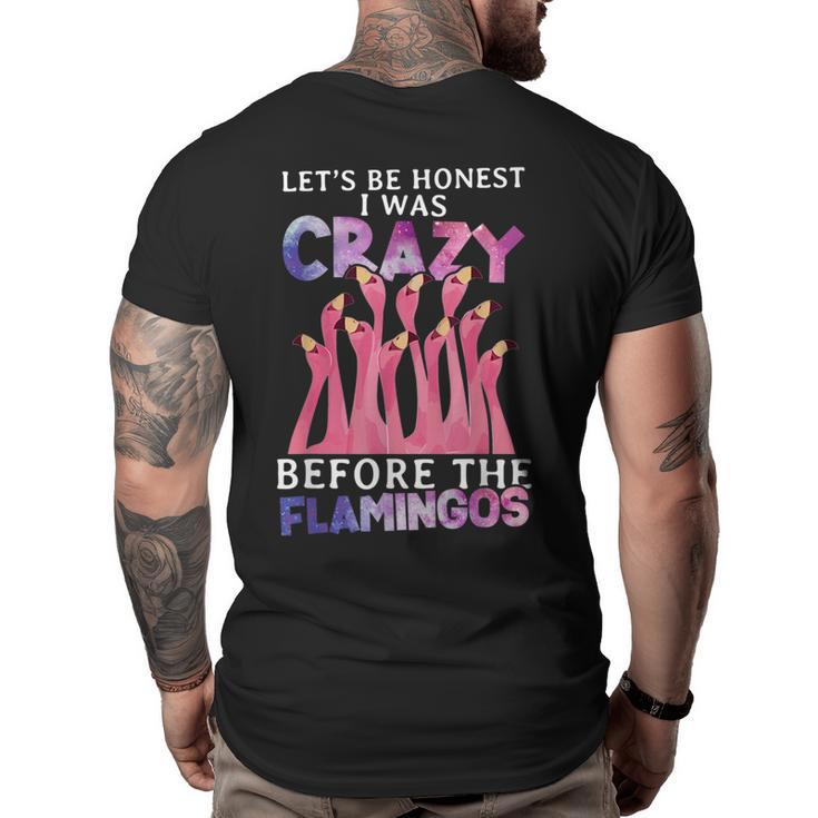 Lets Be Honest I Was Crazy Before Flamingos  Big and Tall Men Back Print T-shirt