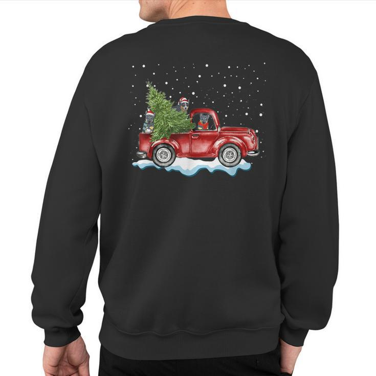 Australian Cattle Dogs Ride Red Truck Christmas Sweatshirt Back Print