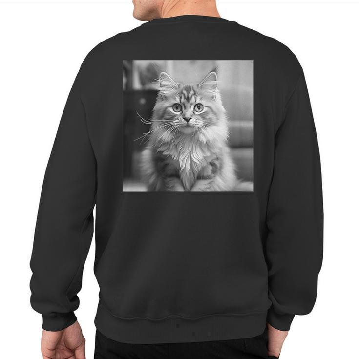 British Longhair Cat Cinematic Black And White Photography Sweatshirt Back Print