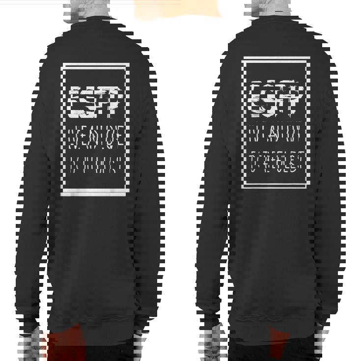 Esfp Extrovert Myers Briggs Personality Type Sweatshirt Back Print