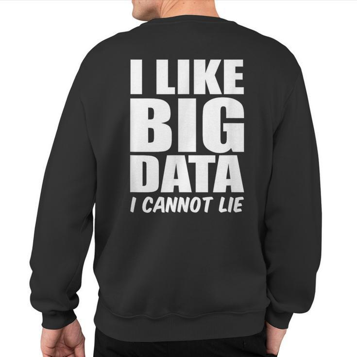 Behavior Analyst I Like Big Data I Cannot Lie Analyst Sweatshirt Back Print