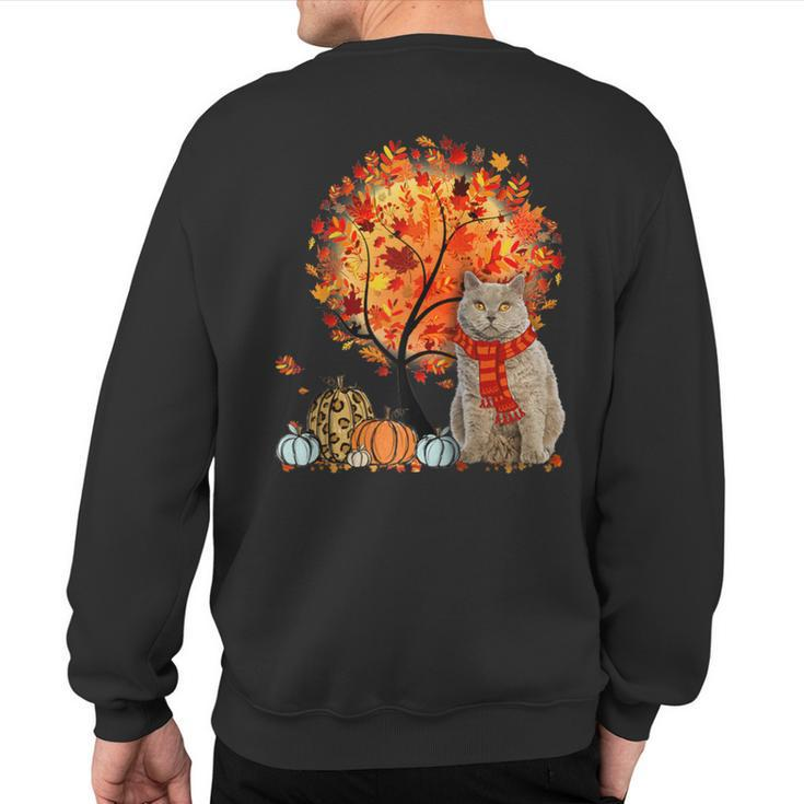 Selkirk Rex Cat Thanksgiving Autumn Cat Lover Sweatshirt Back Print