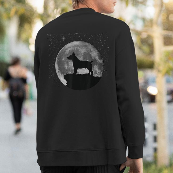 Teddy Roosevelt Terrier Dog Clothes Sweatshirt Back Print
