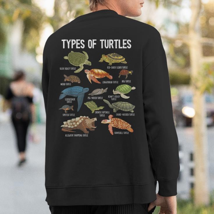 Turtle Lover Turtle Art Types Turtle Turtle Sweatshirt Back Print