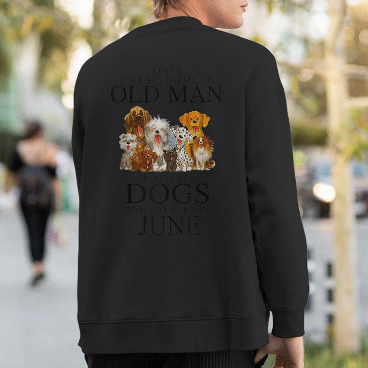 Never Underestimate An Old Man Who Loves Dogs Born In June Sweatshirt Back Print