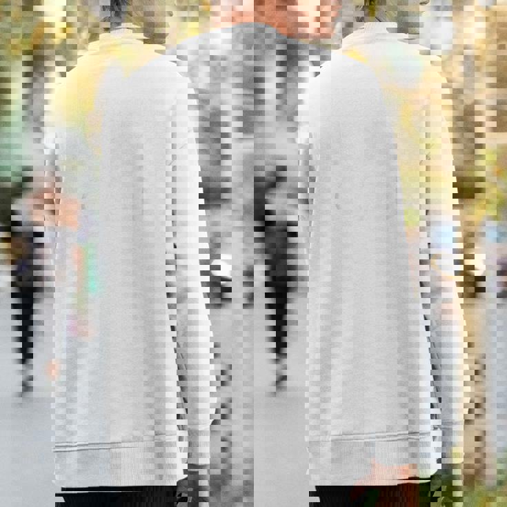 Videophilia Mode On Sweatshirt Back Print