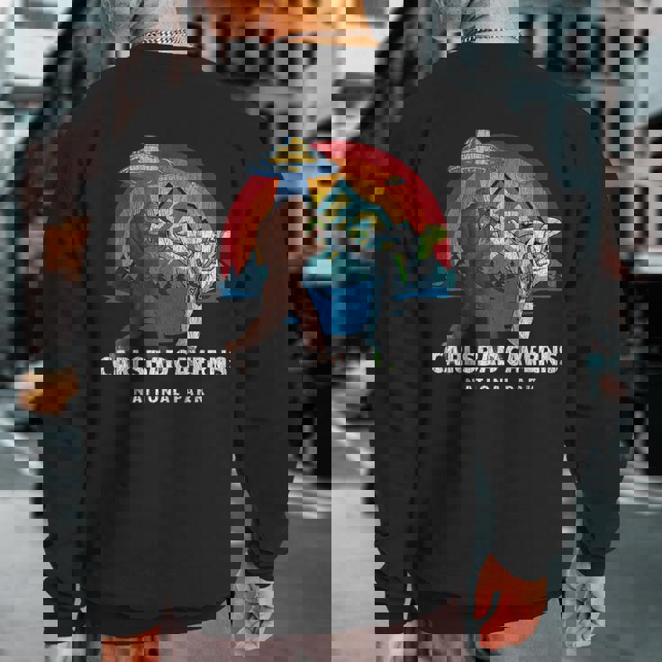 Carlsbad Caverns National Park Bigfoot Alien Vintage Ufo Sweatshirt Back Print