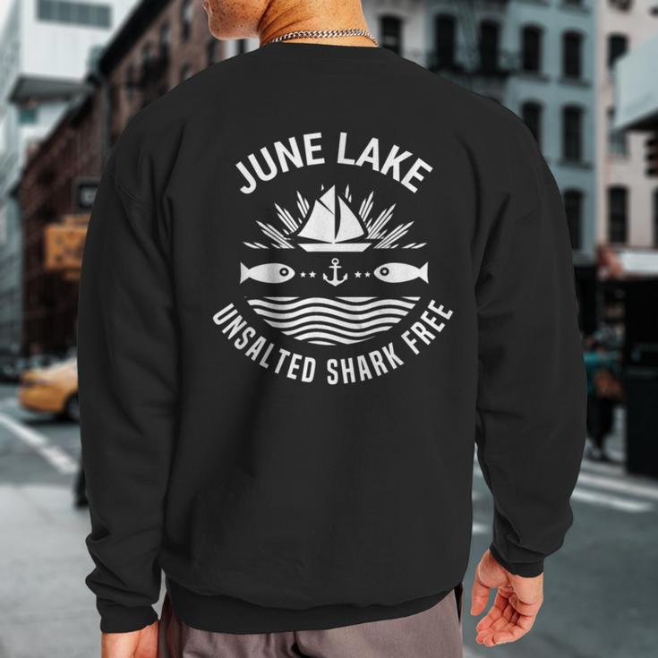 June Lake Unsalted Shark Free California Fishing Road Trip Sweatshirt Back Print