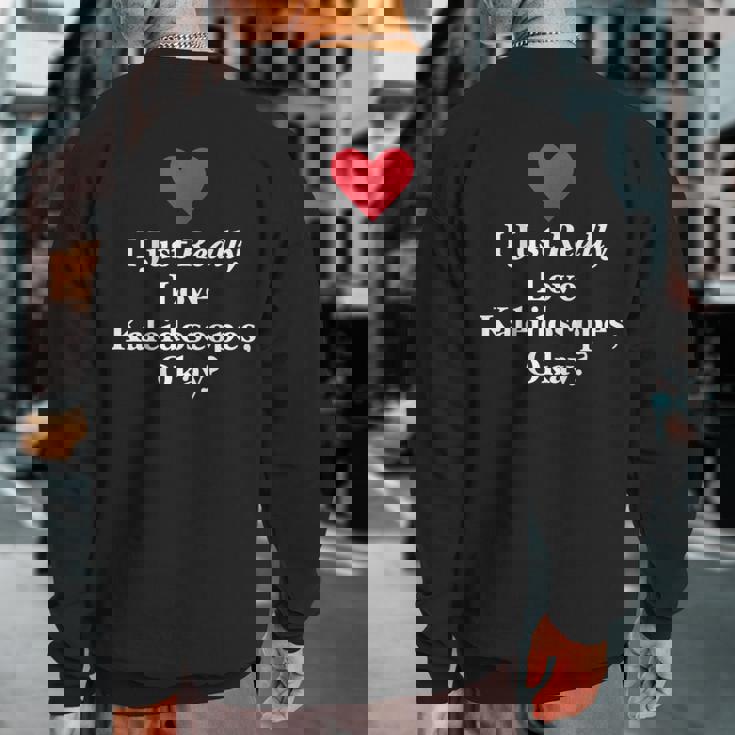 I Just Really Love Kaleidoscopes Okay Hilarious Fun Quote Sweatshirt Back Print