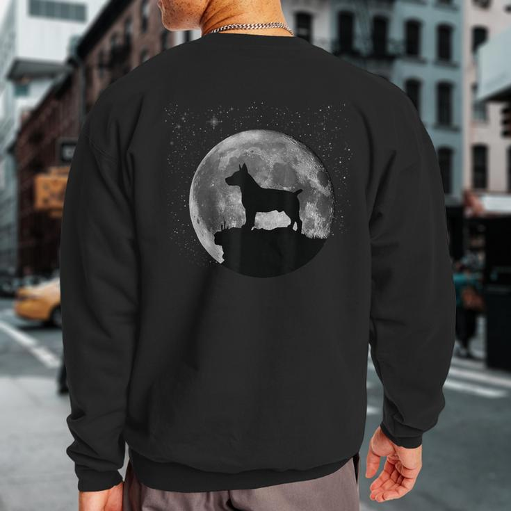 Teddy Roosevelt Terrier Dog Clothes Sweatshirt Back Print