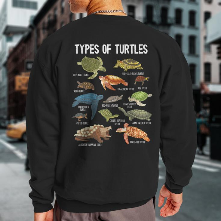 Turtle Lover Turtle Art Types Turtle Turtle Sweatshirt Back Print