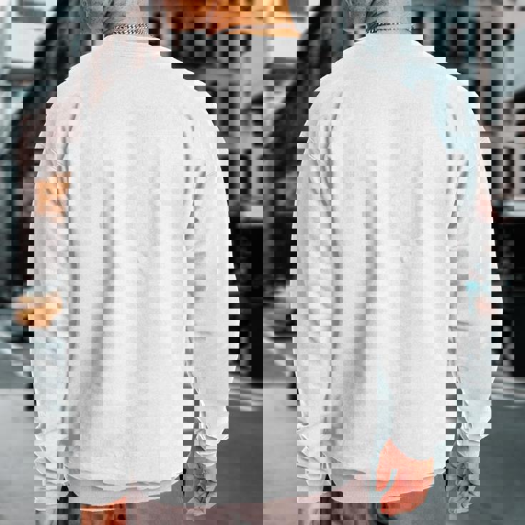 Videophilia Mode On Sweatshirt Back Print