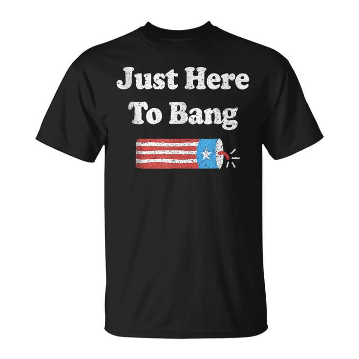 4Th Of July Im Just Here To Bang Unisex T-Shirt