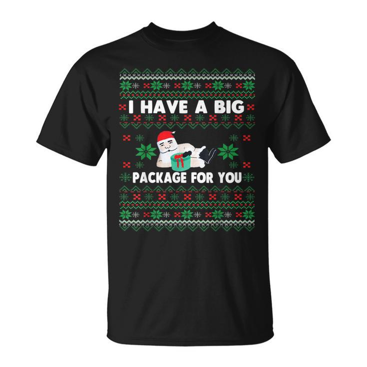 I Have A Big Package For You Christmas Ugly Sweater T-Shirt