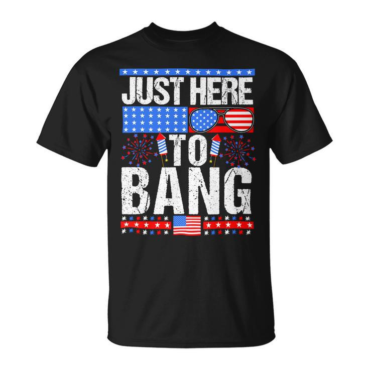 Fourth Of July 4Th Of July Im Just Here To Bang Patriotic Unisex T-Shirt