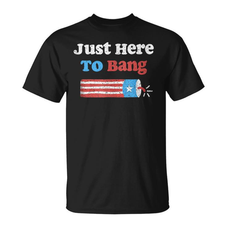 Funny Fourth Of July 4Th Of July Im Just Here To Bang Gift Unisex T-Shirt