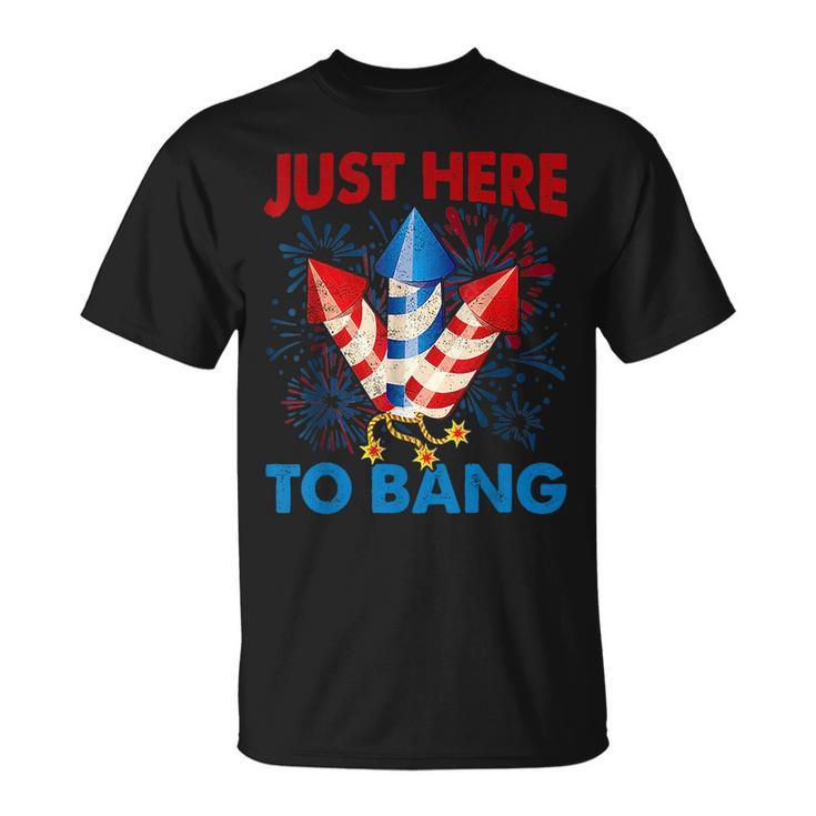 Funny Fourth Of July 4Th Of July Just Here To Bang Fireworks  Unisex T-Shirt