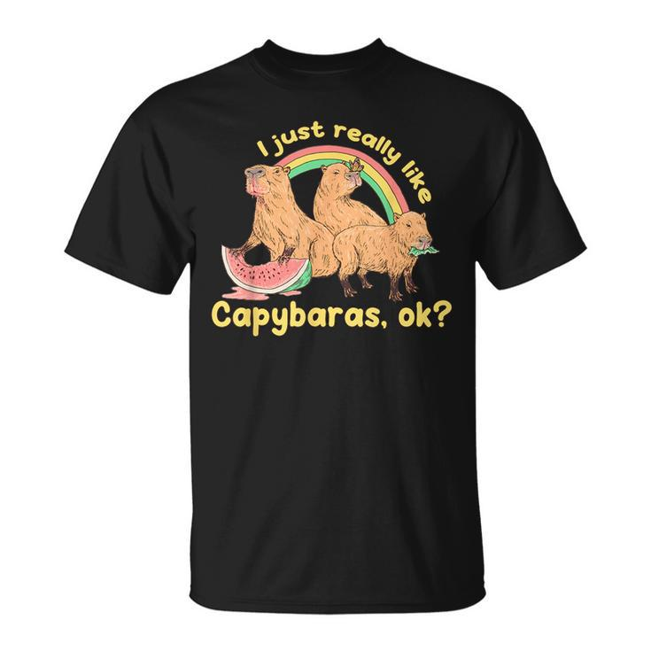 I Just Really Like Capybaras Ok Capybara Lover Funny  Unisex T-Shirt