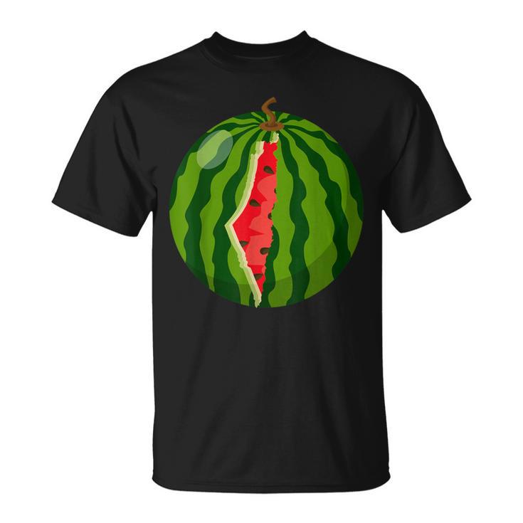 Palestine Map Watermelon Arabic Calligraphy T-Shirt