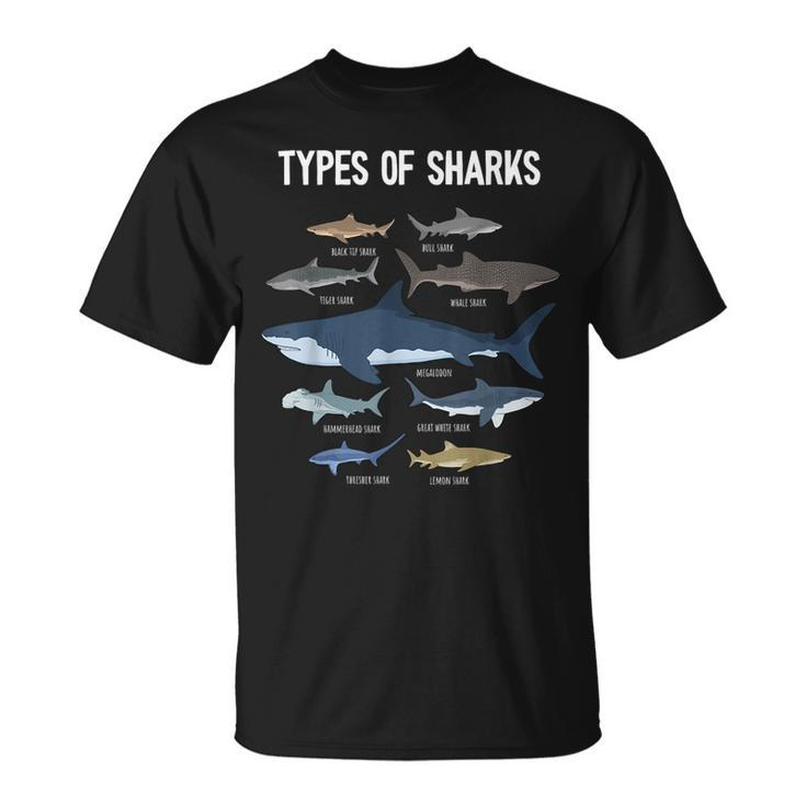 Shark Lover Types Of Sharks Kinds Of Sharks Shark T-Shirt