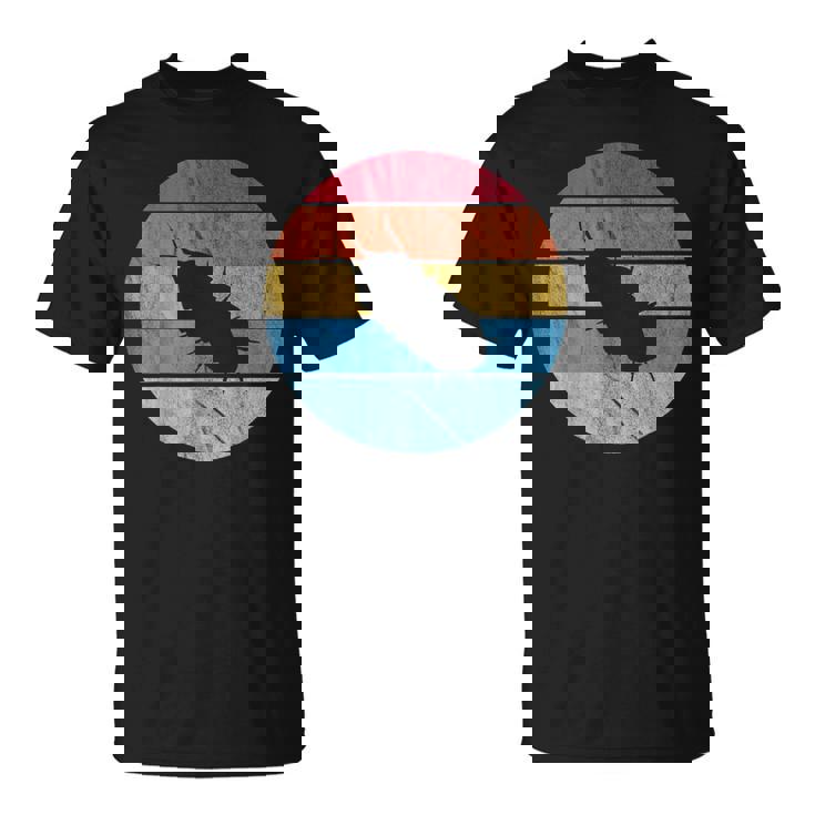 Slater Bug Retro Roly Poly Insect Armadillidiida T-Shirt | Mazezy