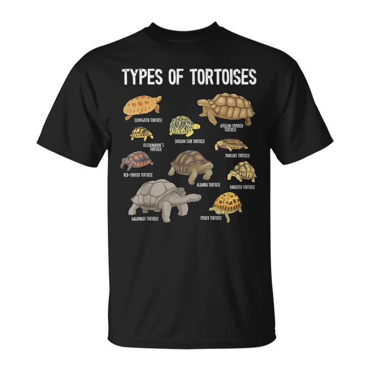 Tortoise Lover Types Of Tortoises Turtle Tortoise T-Shirt