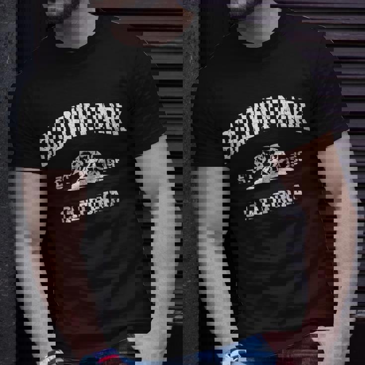 Baldwin Park California Ca Vintage State Athletic Style T-Shirt Gifts for Him