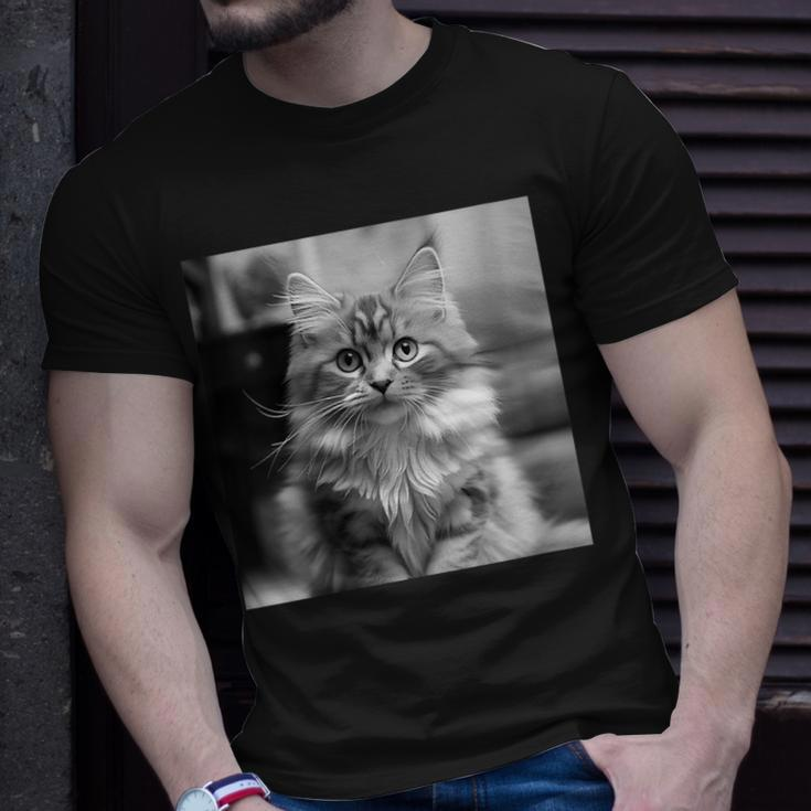 British Longhair Cat Cinematic Black And White Photography T-Shirt Gifts for Him