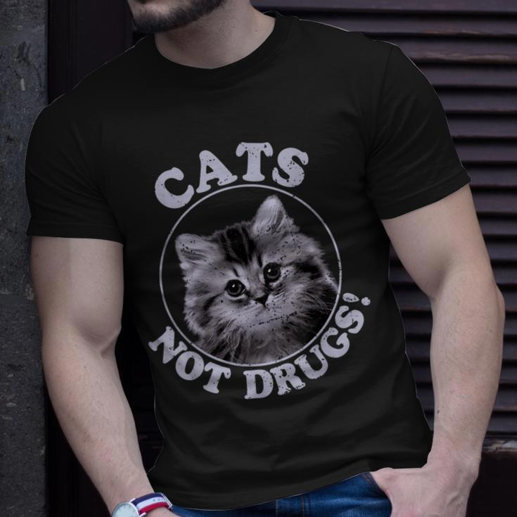 Cats Not Drugs Munchkin British Longhair T-Shirt Gifts for Him