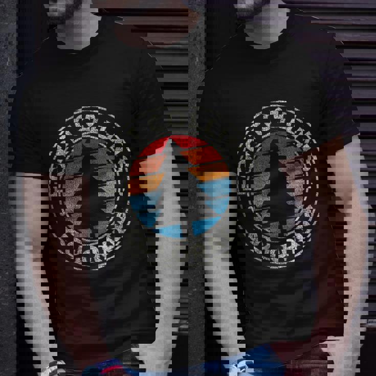 Fort Collins Colorado Co Vintage Graphic Retro 70S T-Shirt Gifts for Him Fort Collins Colorado Co Vintage Graphic Retro 70S T-Shirt Gifts for Him