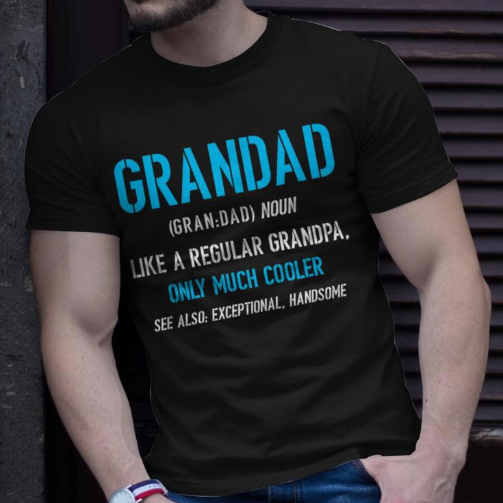 Grandad Gift Like A Regular Funny Definition Much Cooler Unisex T-Shirt Gifts for Him