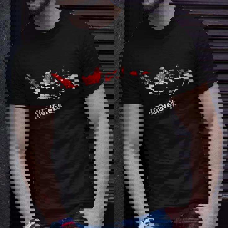 Indonesia Flag Pride Distressed Indonesian Unisex T-Shirt Gifts for Him