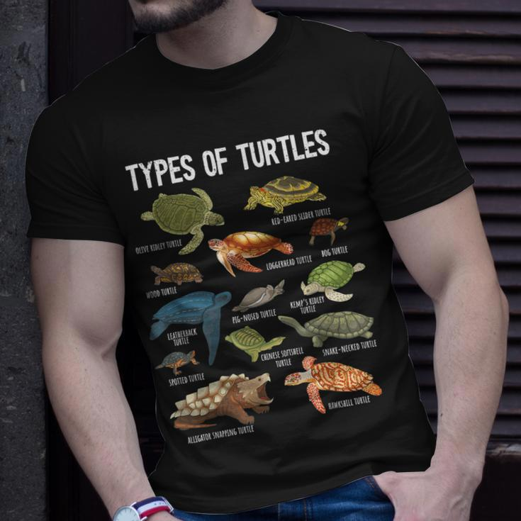 Turtle Lover Turtle Art Types Turtle Turtle T-Shirt Gifts for Him