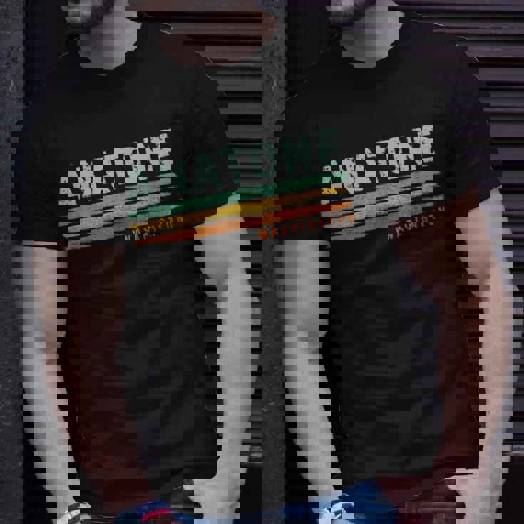 Vintage Stripes Anatone Wa T-Shirt Gifts for Him
