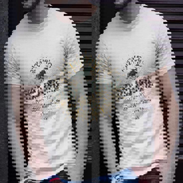 Retro Style Vintage Mesa Verde National Park T-Shirt Gifts for Him