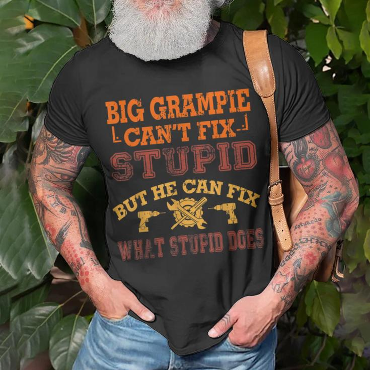 Big Grampie Cant Fix Stupid Fix What Stupid Does Unisex T-Shirt Gifts for Old Men
