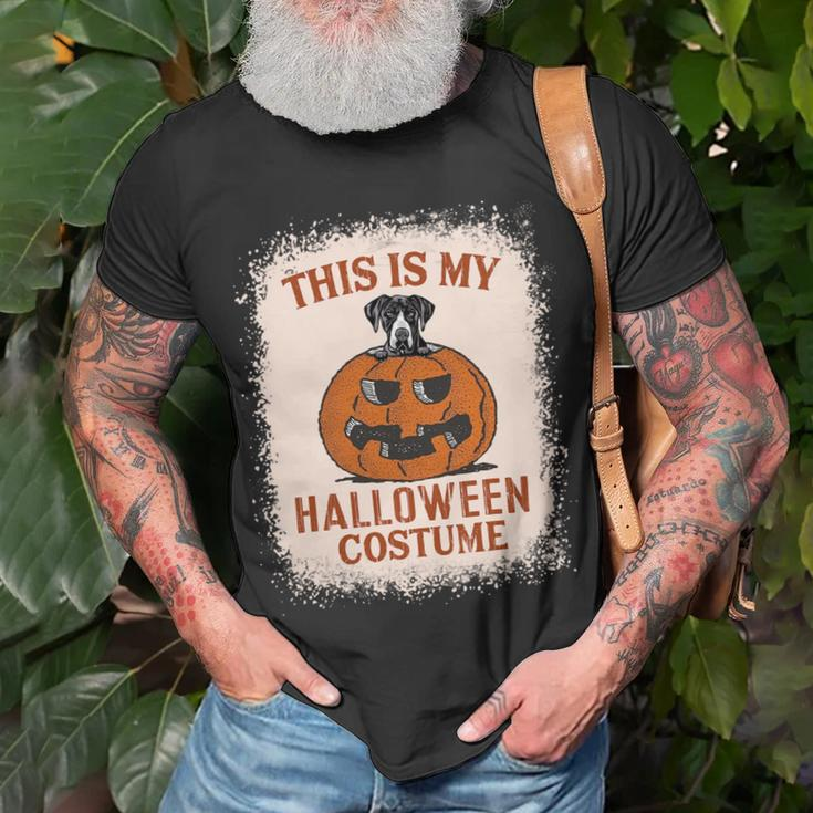 Pumpkin Gifts, Halloween Dog Pumpkin Shirts