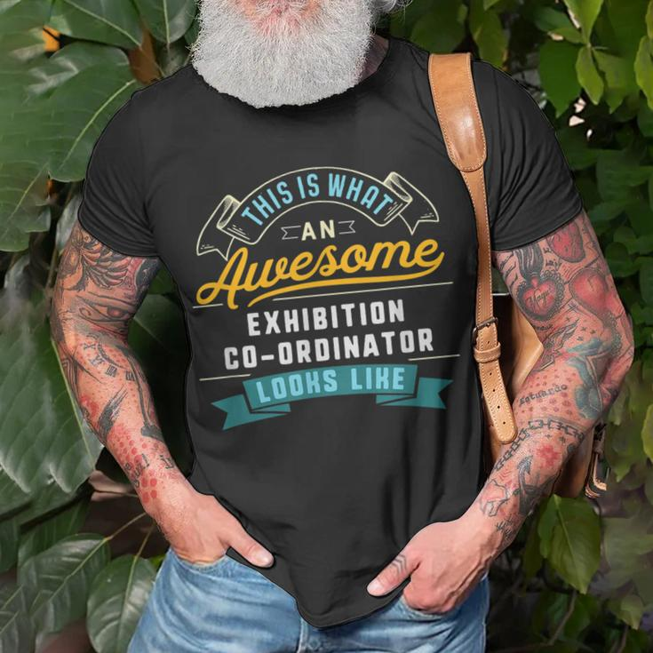 Exhibition Co-Ordinator Awesome Job Occupation T-Shirt Gifts for Old Men