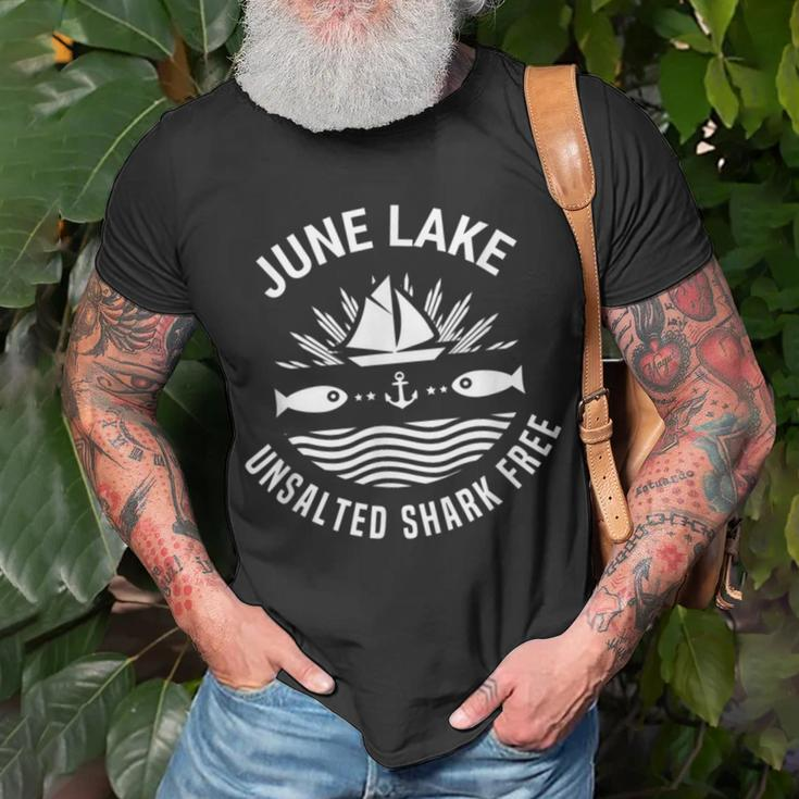 June Lake Unsalted Shark Free California Fishing Road Trip T-Shirt Gifts for Old Men