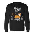 Orange Tabby Cat Anatomy Of A Cat Cute Present Long Sleeve T-Shirt Gifts ideas