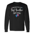 Promoted To Big Brother Est 2024 Pink Or Blue Bro Love You Long Sleeve T-Shirt Gifts ideas