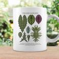 Alocasia Foliage Plants Aroid Lover Anthurium Coffee Mug Gifts ideas