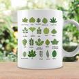 Different Types Of Tree Leaves Common Leaves Nature Lovers Coffee Mug Gifts ideas
