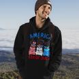 America 4Th Of July Guinea Pig Fireworks Independence Day Hoodie Lifestyle