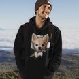 Chihuahua Lover Chihuahua Owner Chihuahua Hoodie Lifestyle