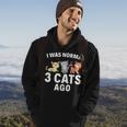 I Was Normal Three Cats Ago Crazy Cat Lady Gift Hoodie Lifestyle