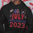 4Th Of July Family Celebration 2023 Family Matching Hoodie Unique Gifts 4Th Of July Family Celebration 2023 Family Matching Hoodie Unique Gifts
